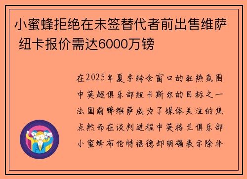小蜜蜂拒绝在未签替代者前出售维萨 纽卡报价需达6000万镑